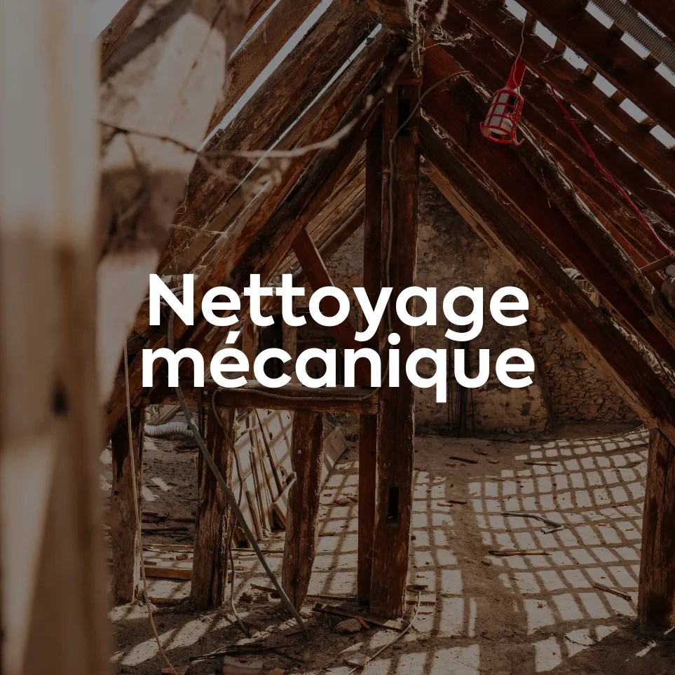 Brossage et nettoyage mécanique