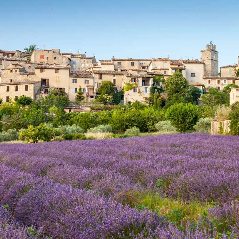 Vaucluse