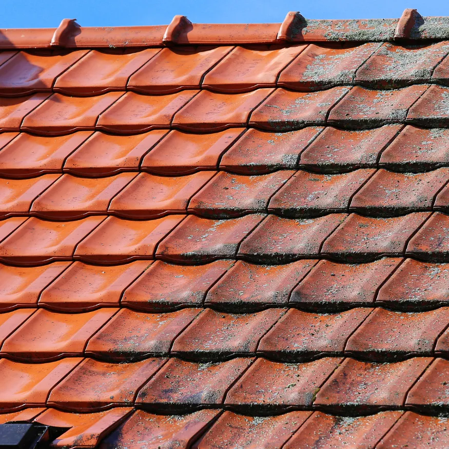 démoussage de toit à orange